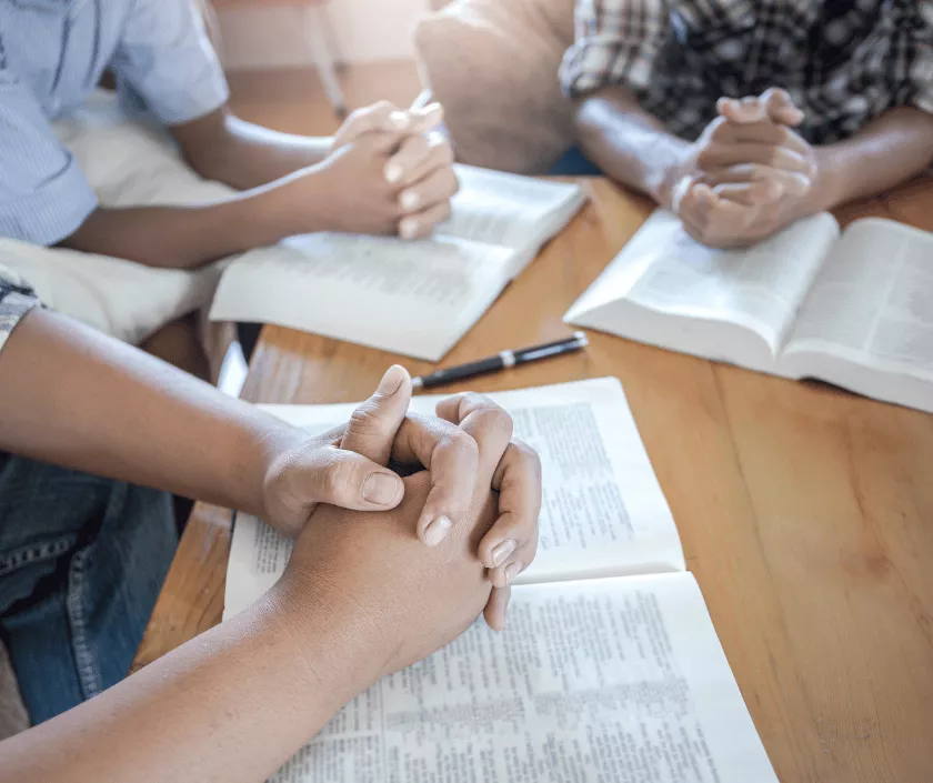 Fellowship & Observership Programs